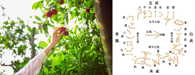 仙玩游-仙域迷踪.png