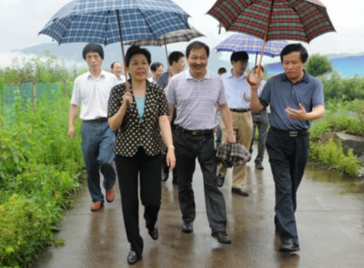 2010 年 7 月 9 日，现任浙江省委常委、省委宣传部长，时任浙江省委常委、副省长葛慧君视察。1.png