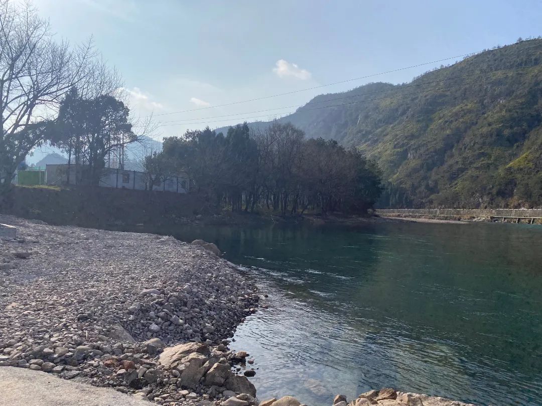 央地湾 清理前.jpg 图片